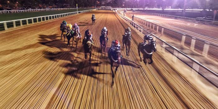 สเตคเซ็นส์ได้เซ็นสัญญากับนักขี่ม้าชื่อดัง Frankie Dettori เป็นนักเอฟเฟกทั่วโลก